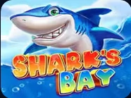 Sharks Bay